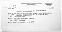 Image Associated With the Occurence